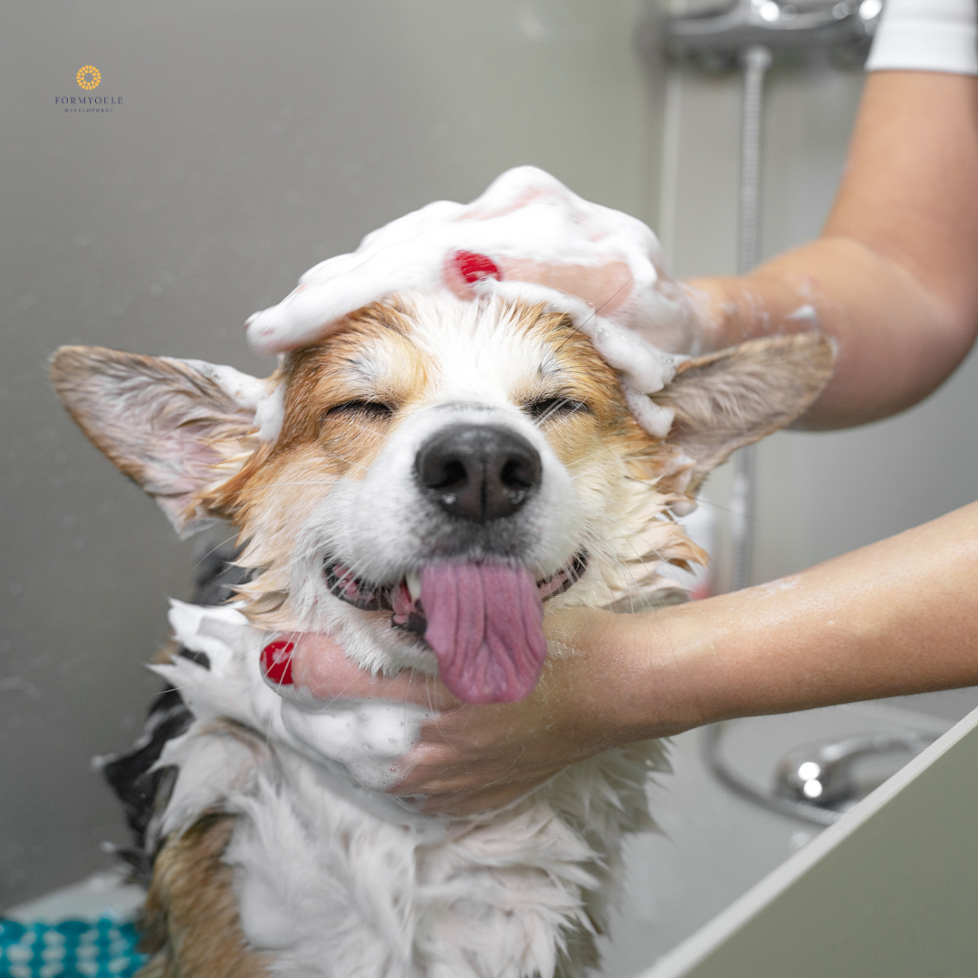 Dog enjoying a gentle shampoo during premium pet grooming session